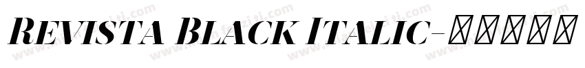 Revista Black Italic字体转换